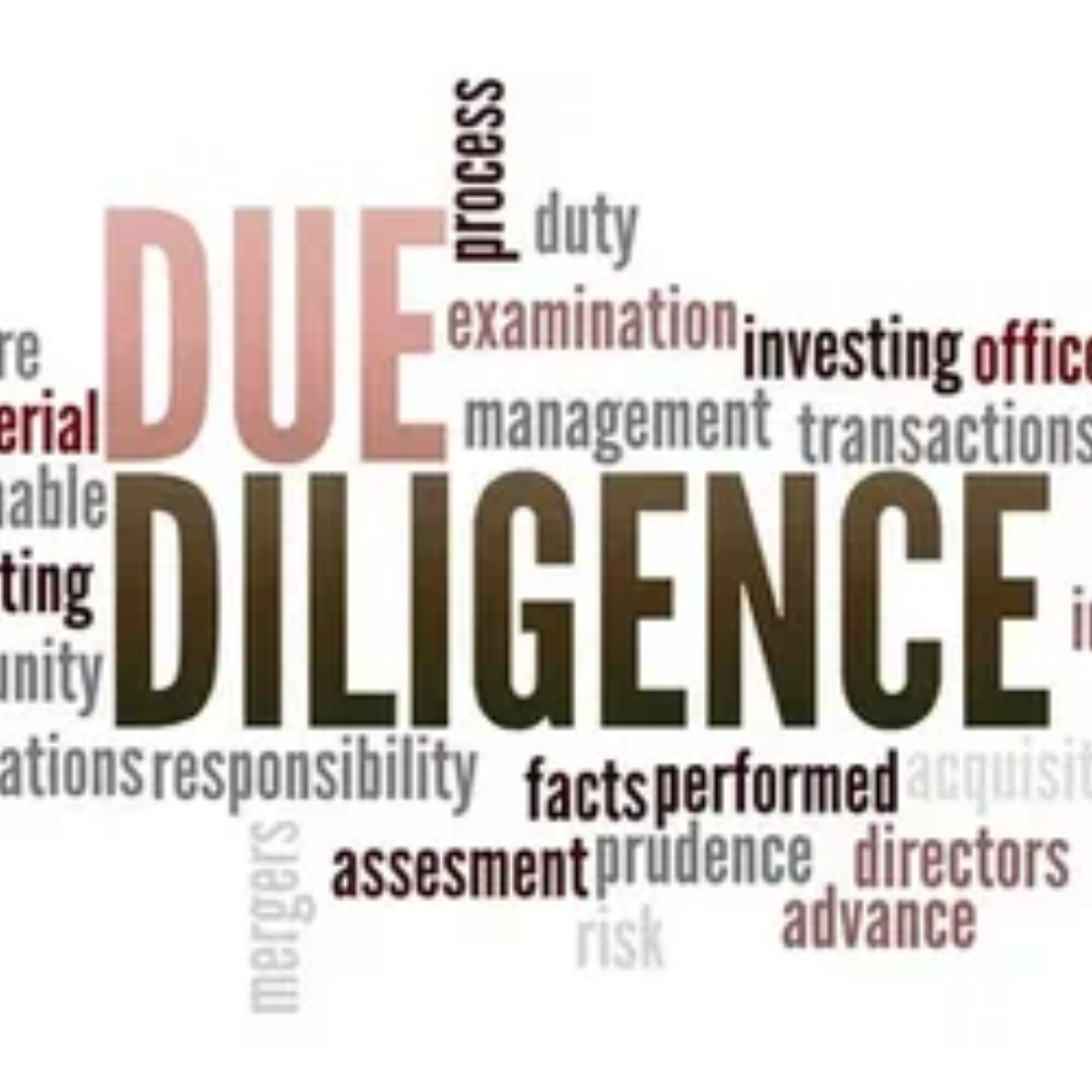 Due Diligence